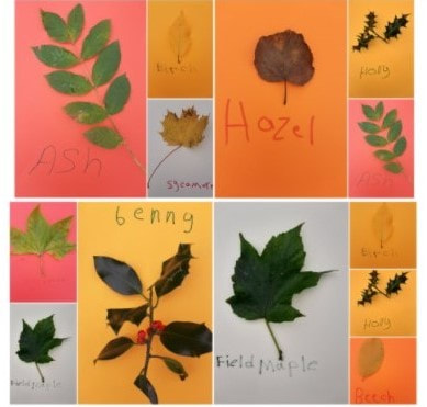 Collage of collected leaves on coloured paper submitted by Talk English ESOL students for the Message to the Neighbourhood exhibition September 2020