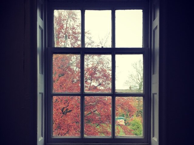 View through an upper window over the park