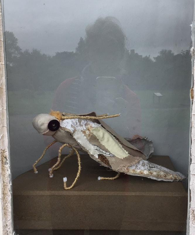 Fabric model of a clothes moth displayed in a window of the Hall as part of the TSAP@Platt Hall exhibition July 2020